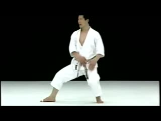 Sensei kagawa 香川先生 the art of shotokan best karate