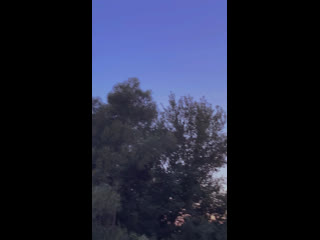 Mikhailov провожу тебя до дома (snippet)