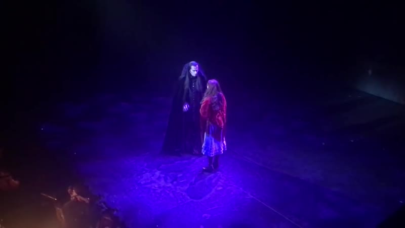 Thomas borchert diana schnierer totale finsternis