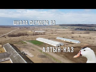 Гуси, утки, два ствола