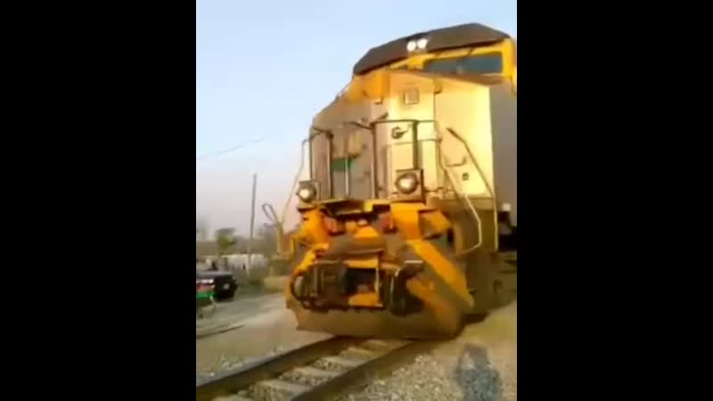 Жизнь на волоске