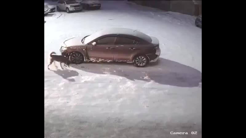 Две молодые в новом уренгое так быстро мчались, что после столкновения с машиной у неё отвалился бампер