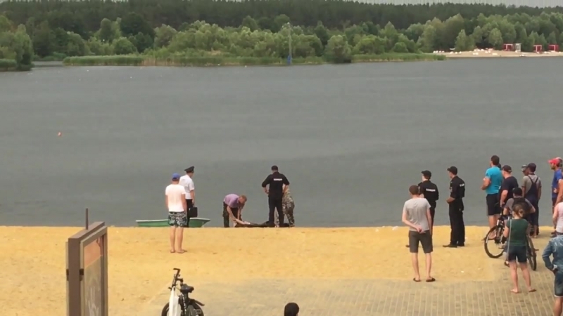 Жмур в спутнике