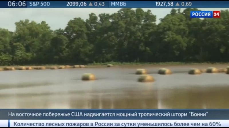 На побережье сша стремительно надвигается тропический шторм "бонни"