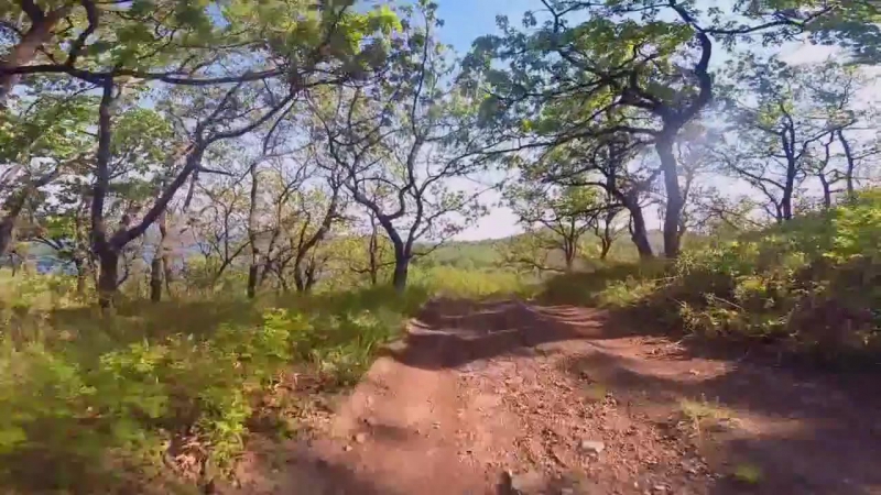 Велопоход рязаноа