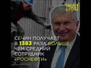 Сколько получает сечин