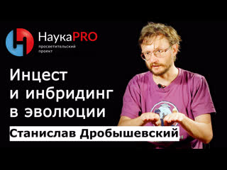 Инцест и инбридинг в эволюции | лекции по антропологии – антрополог станислав дробышевский | научпоп