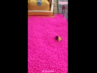 Бульк (vhs video)