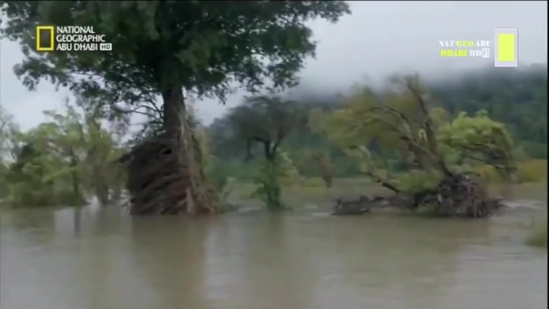 أساليب البقاء hd البحر القاتل موسم جديد ناشيونال جيوغرافيك ابوظبي