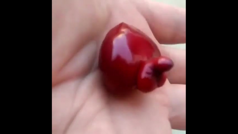 Интересная черешня