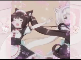 Chocola, vanilla | nekopara