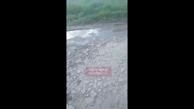 Юная жительница катав ивановска записала видеообращение чиновникам