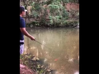 Красивый заброс