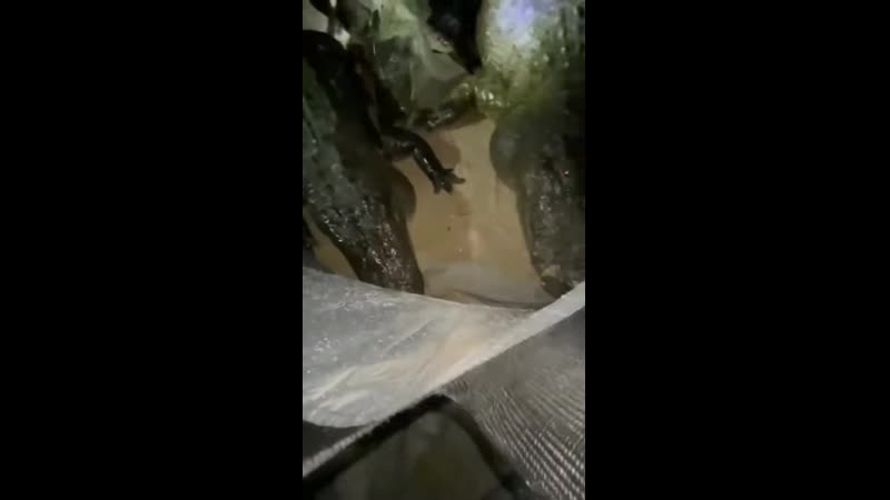 Поставил палатку