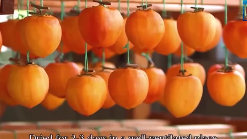 Вялая хурма japanese fruit