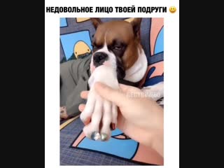 Недовольное лицо твоей подруги