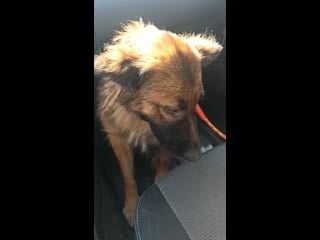 Trim 20200913 095943 mp4