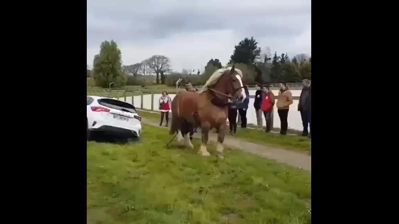 Наглядная демонстрация лошадиной силы (720p) mp4