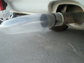 Тазы валят,призирвативы надуваются