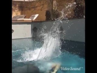 Instagram video by nargis fakhri