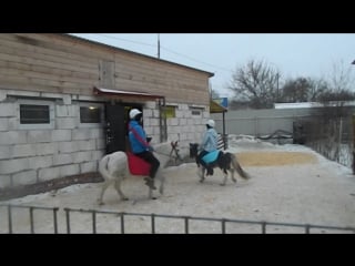 Конные забавы 2017