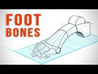 How to draw feet with structure foot bone anatomy