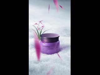 [us ca] orchid enriched cream did new bi