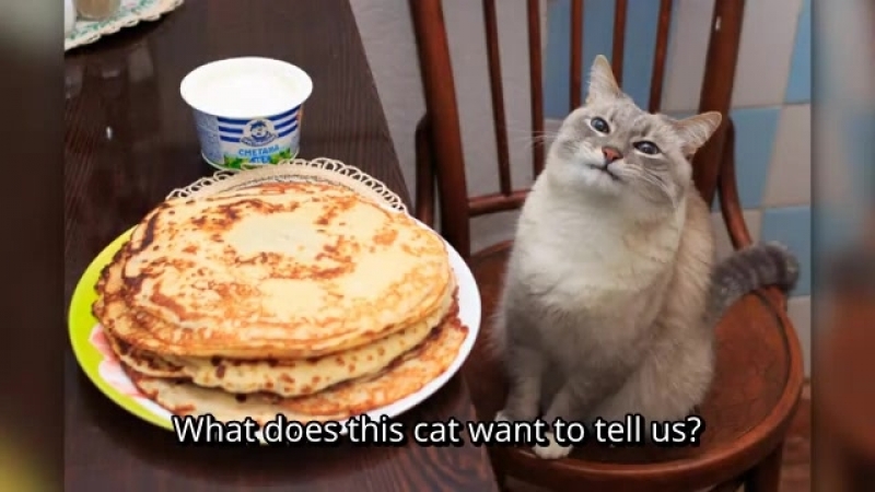 Блээт