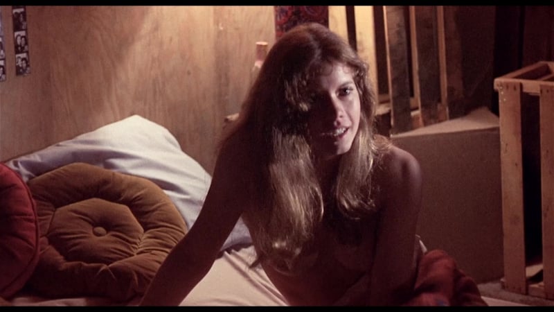 Robbie lee, janice karman etc nude switchblade sisters (1975) hd 1080p bluray