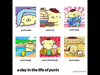 A day in the life of purin