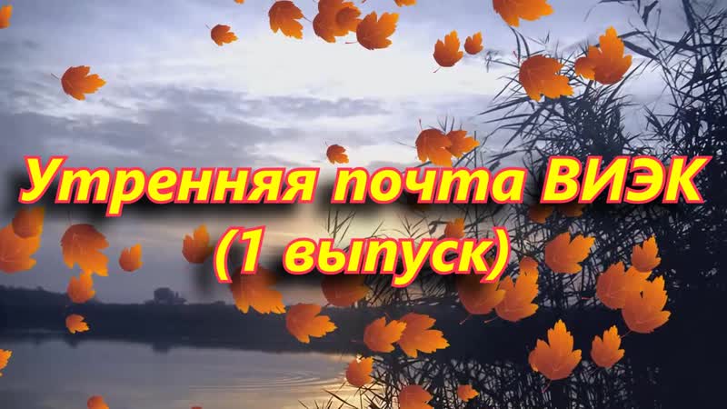 Утренняя почта виэк!