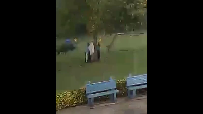 Не стойте под деревом во время грозы