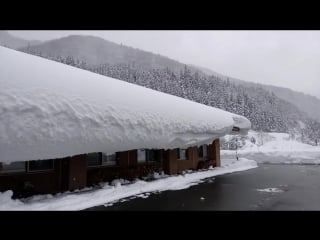 Я собираюсь стукнуть снегом по крыше и сбросить его 屋根の雪を叩いて落としてみる