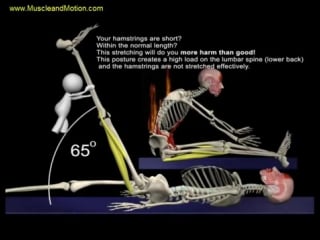 The proper technique for the seated hamstring stretch 3d animation of muscles i