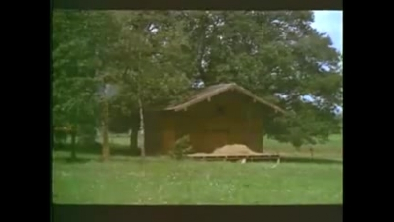 Беги, дева, беги / die jungfrauen von bumshausen (1970)