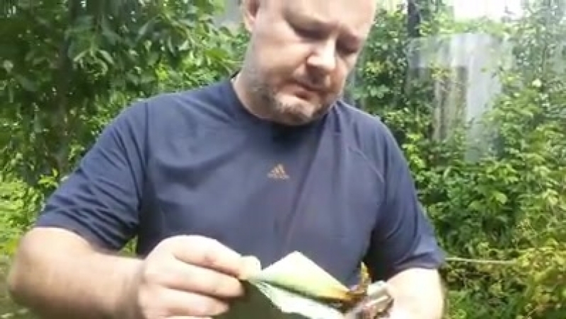 «верить и терпеть» житель макееи сжег на камеру украинский паспорт