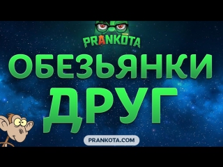 Обезьянки друг prankota com