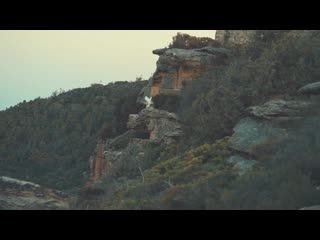 Housenick take my hand