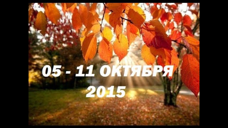 Прогноз на неделю 05 11 октября 2015 гадание на картах таро золото икон