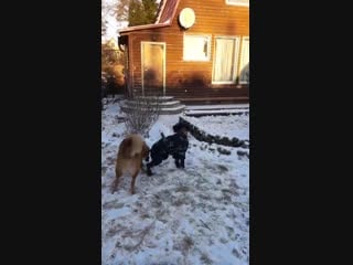 Лаврик и гриша на фотосессии 4