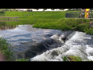 V 20190713 165642 sm mp4