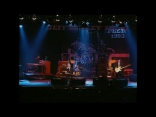The jeff healey band live in belgium (1993)