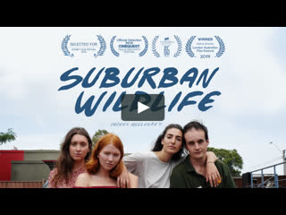 Дикая жизнь в пригороде (2019) suburban wildlife