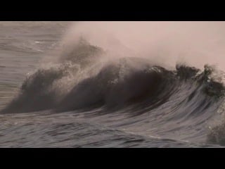 Bbc wild brazil 2of3 facing the flood