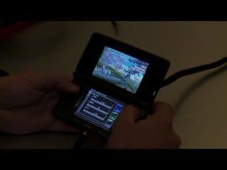 Молодые or alive dimensions