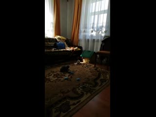 Vid 20190428 132051 mp4