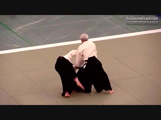 Aikido ueshiba moriteru doshu 51st all japan aikido demonstration 2013 айкидо