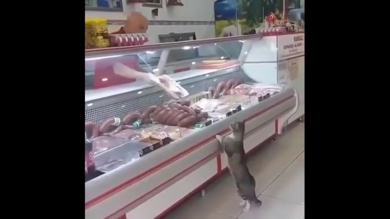 Что желаете? [ ]