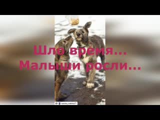 Видео от прояви себя