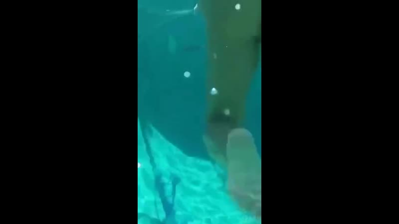 Подводный минет от русалочки 🧜‍♀️